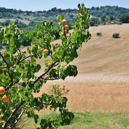Casale Il Rondo, Private Pool, *