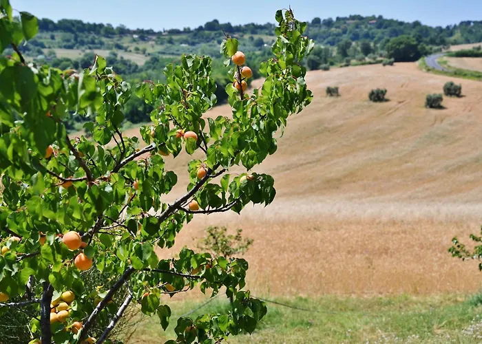 Casale Il Rondo, Private Pool, *